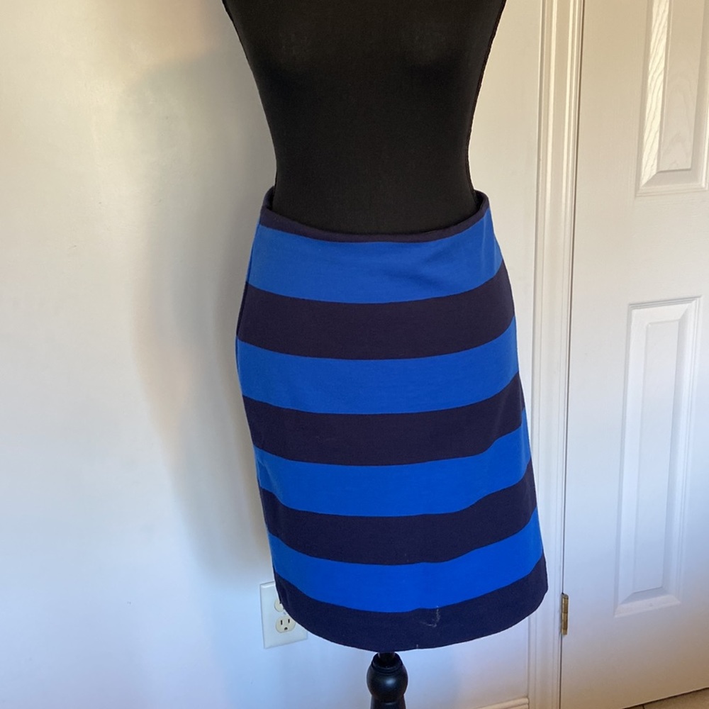 Blue and black stretchy cotton striped skirt